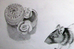 Skizze - Ratte